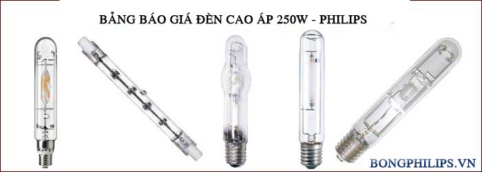 bang bao gia bong den cao ap 250w