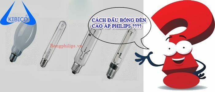 cach dau noi den cao ap philips 2018