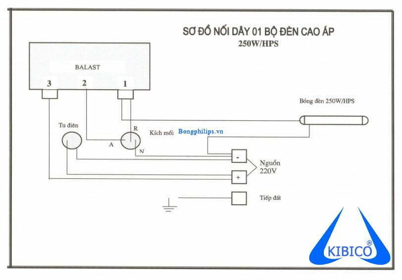 so do dau noi bong cao ap philips