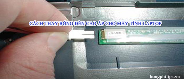 cach thay bong cao ap laptop