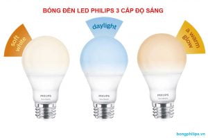 bong den led 3 mau philips