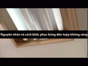 bóng đèn tuýp không sáng