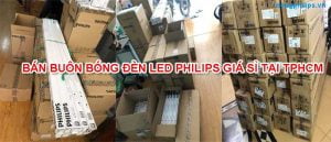 bong den philips gia si