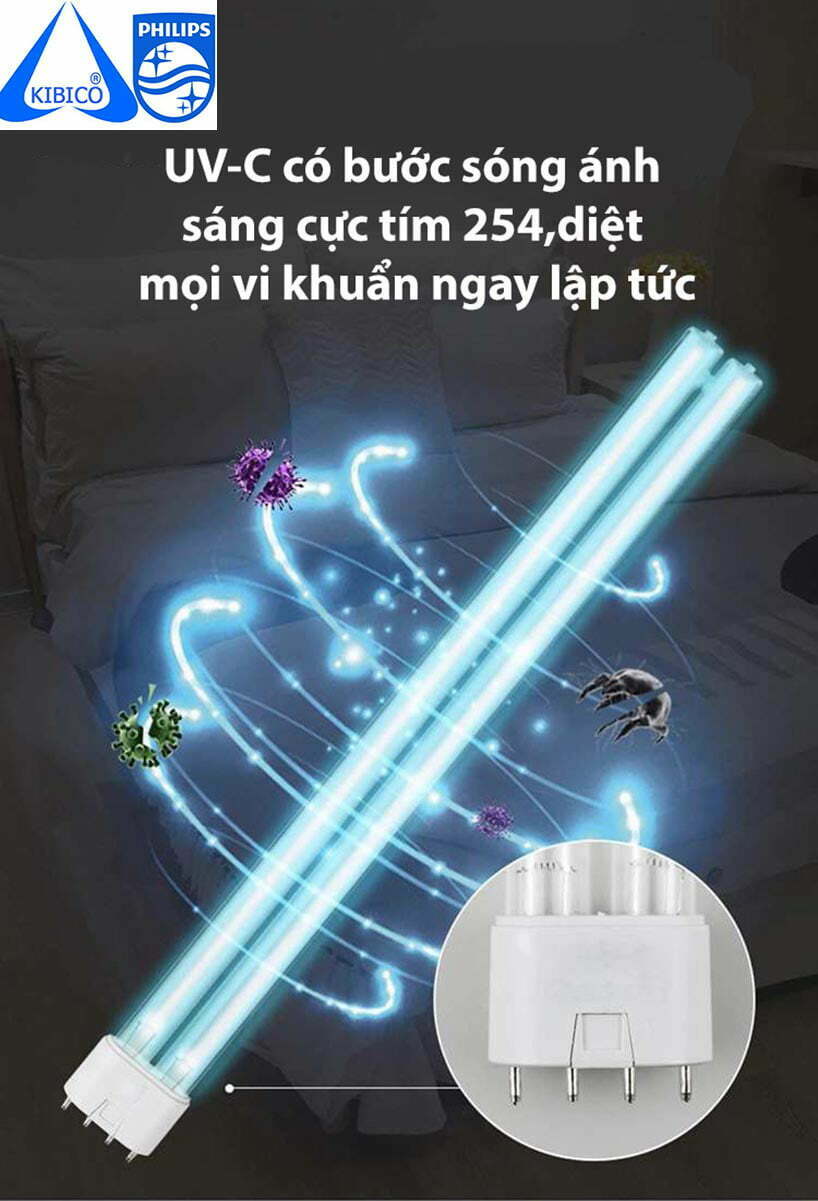 den tia cuc tim mua o dau